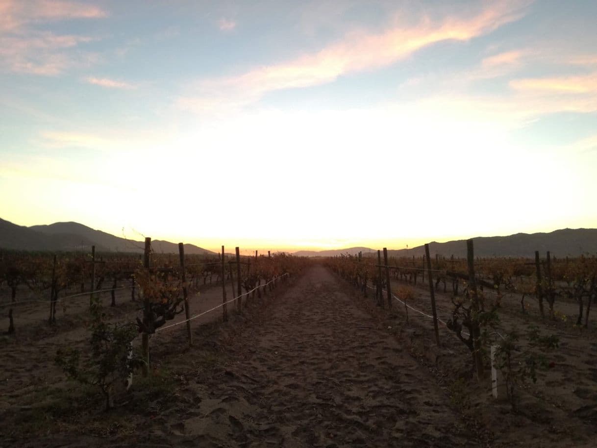 Lugar Valle de Guadalupe