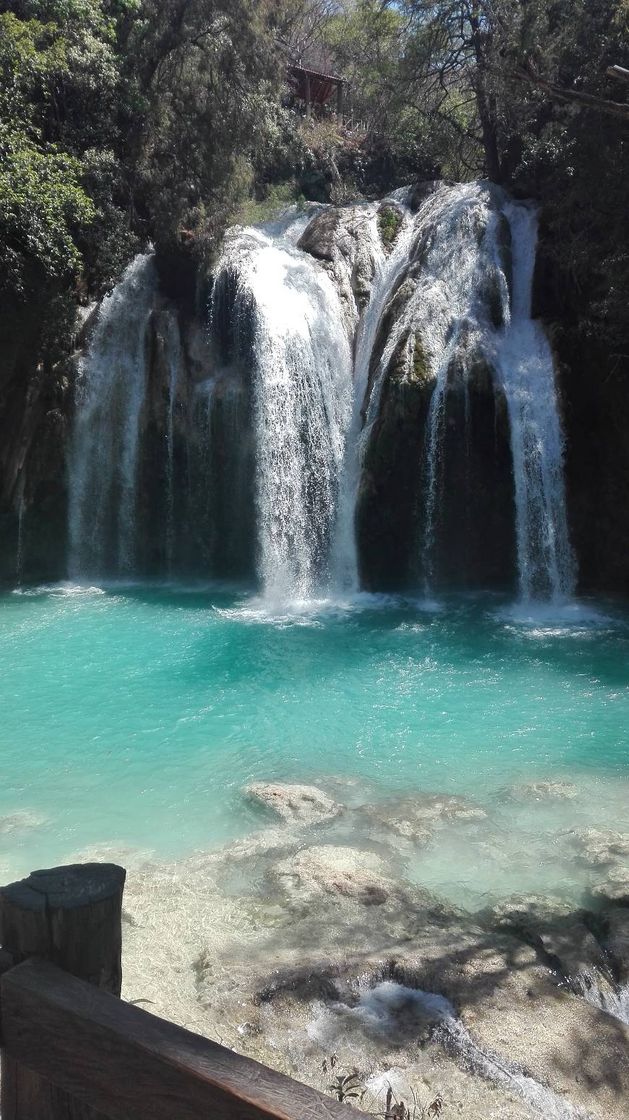 Place Cascadas Agua Azul