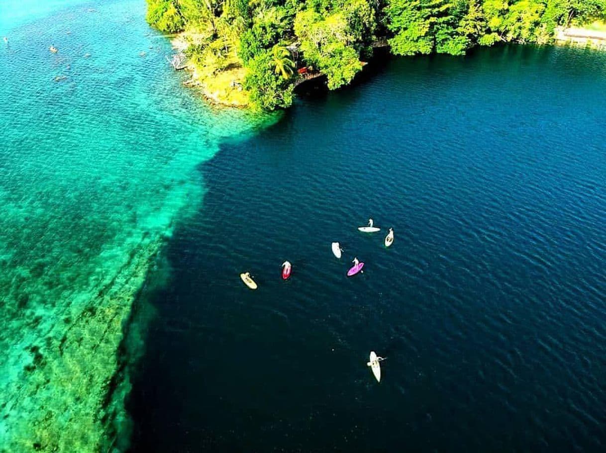 Lugar Cenote la Bruja