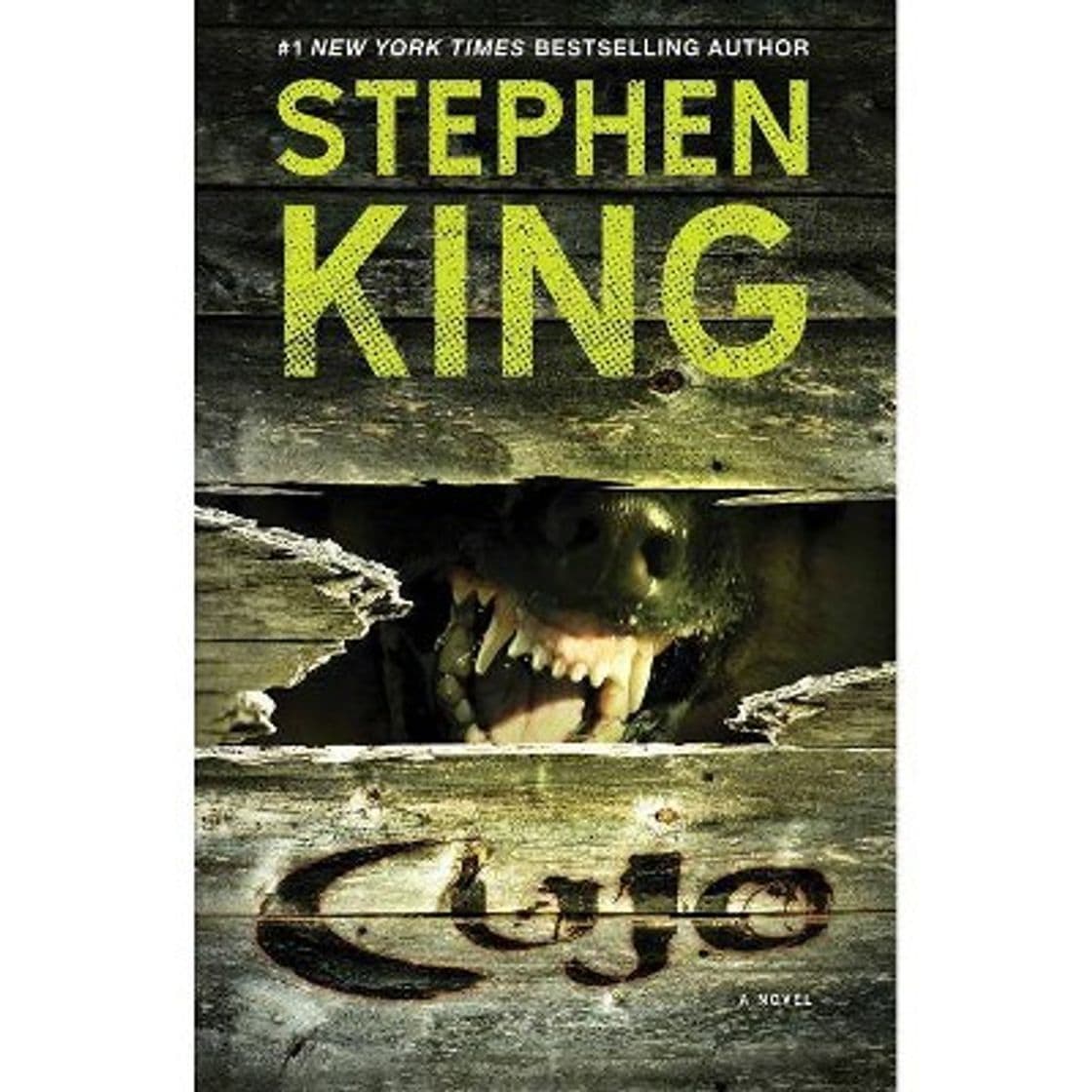 Libro Cujo