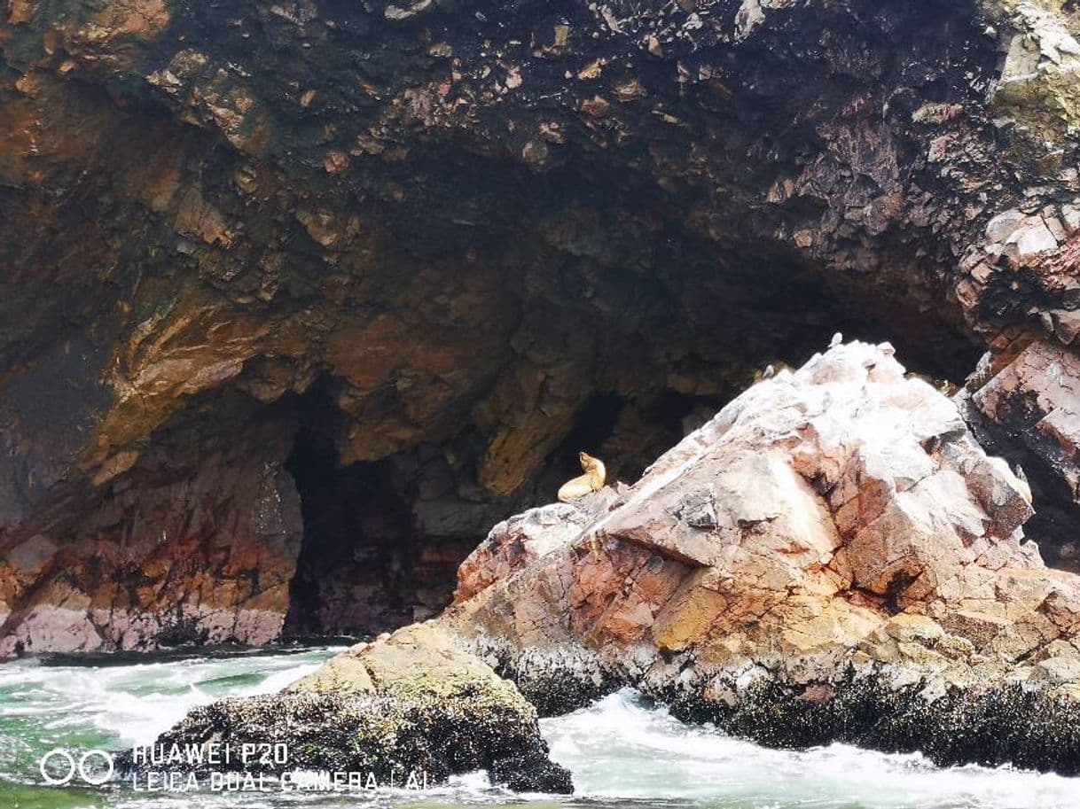 Lugar Reserva de Paracas