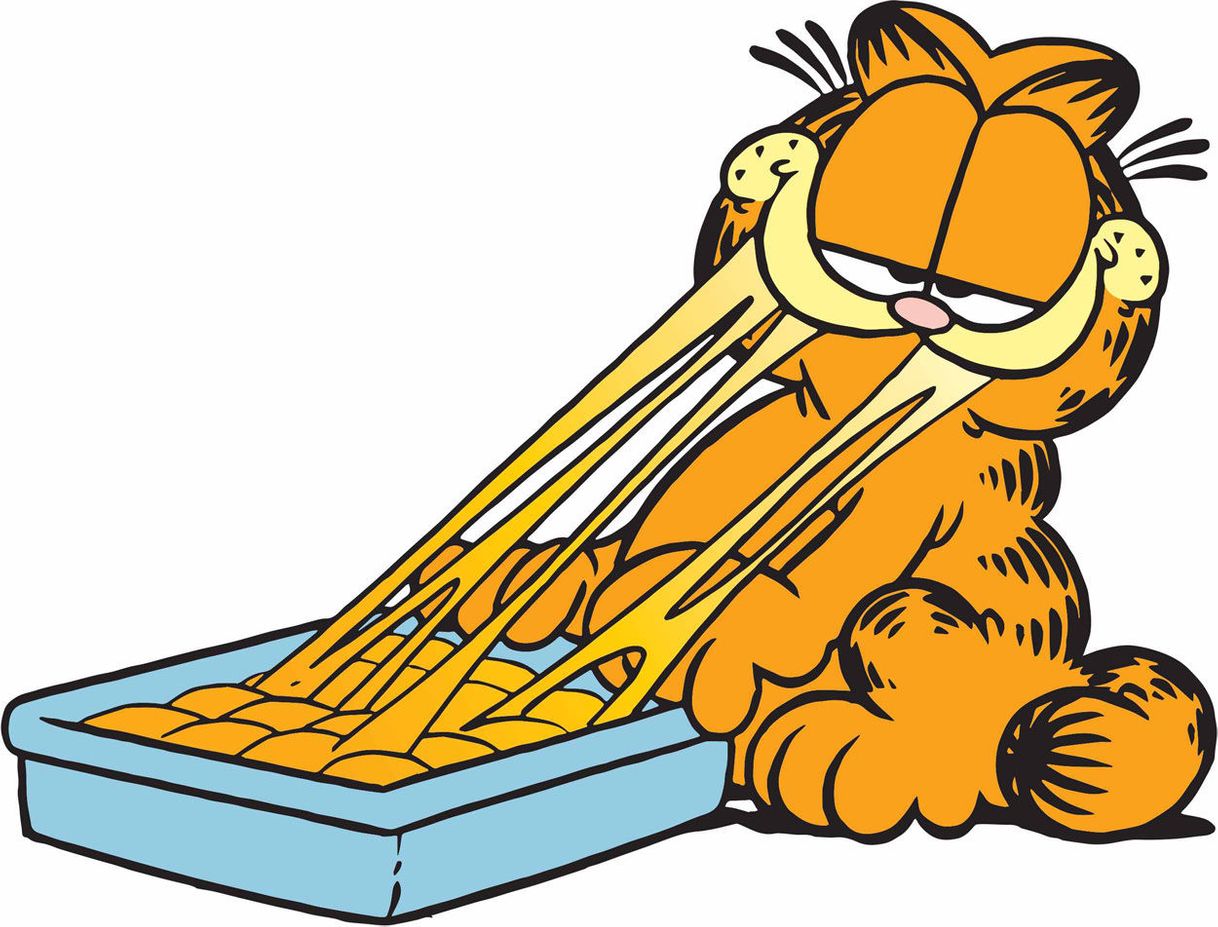 Fashion Lasagna de Garfield