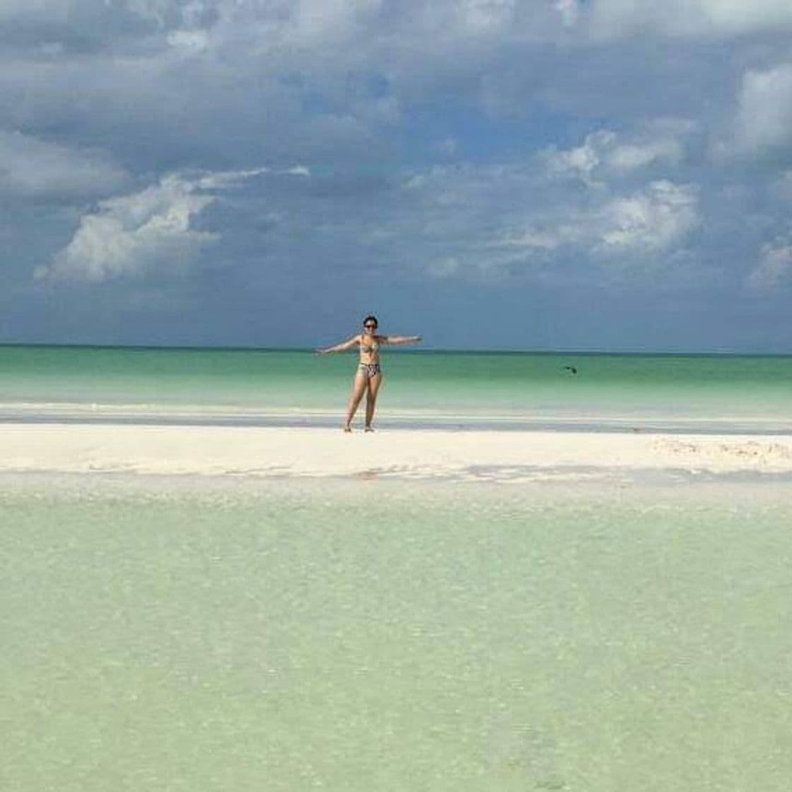 Lugar Isla de Holbox