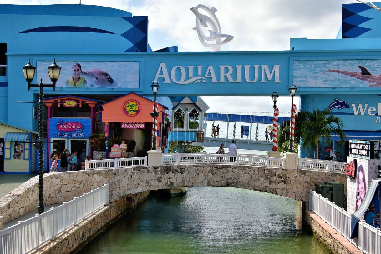 Place Interactive Aquarium Cancún