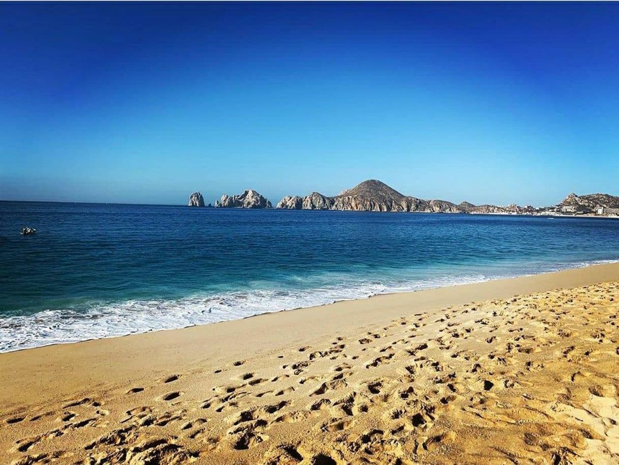 Lugar Los Cabos