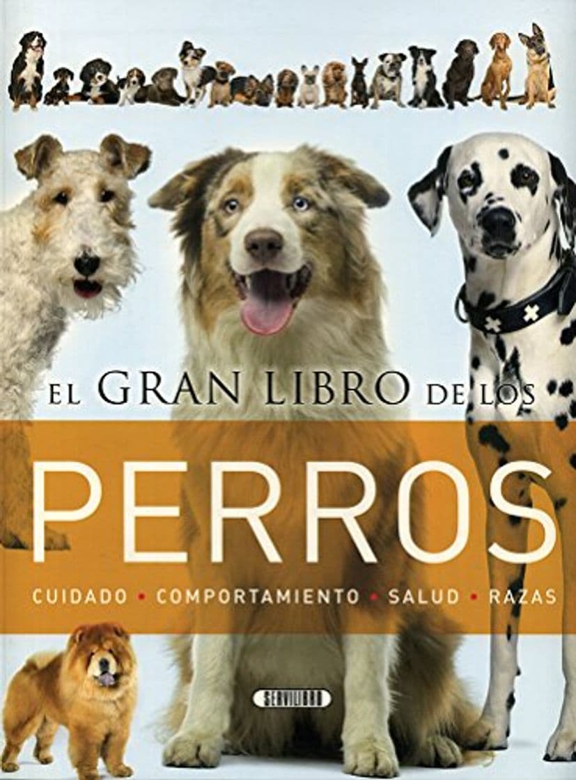 Libro El gran libro de los perros