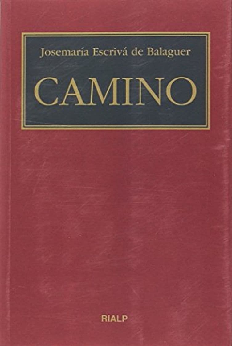 Libro Camino