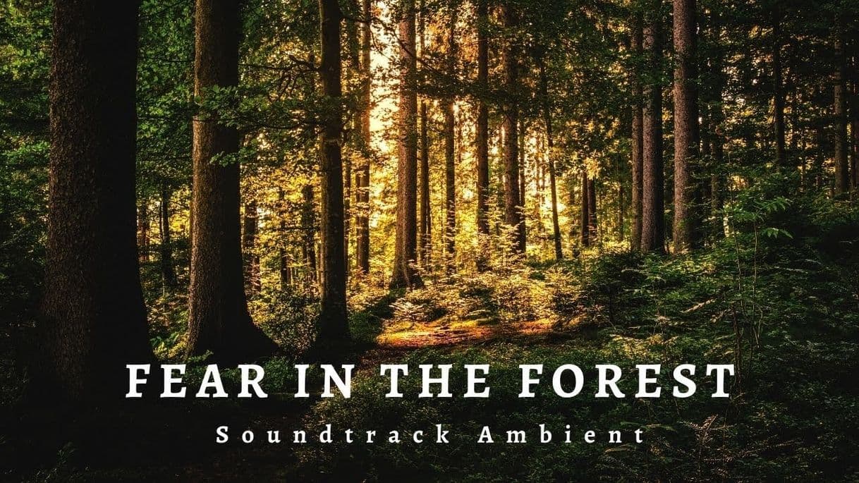 Moda FEAR IN THE FOREST || Soundtrack Ambient