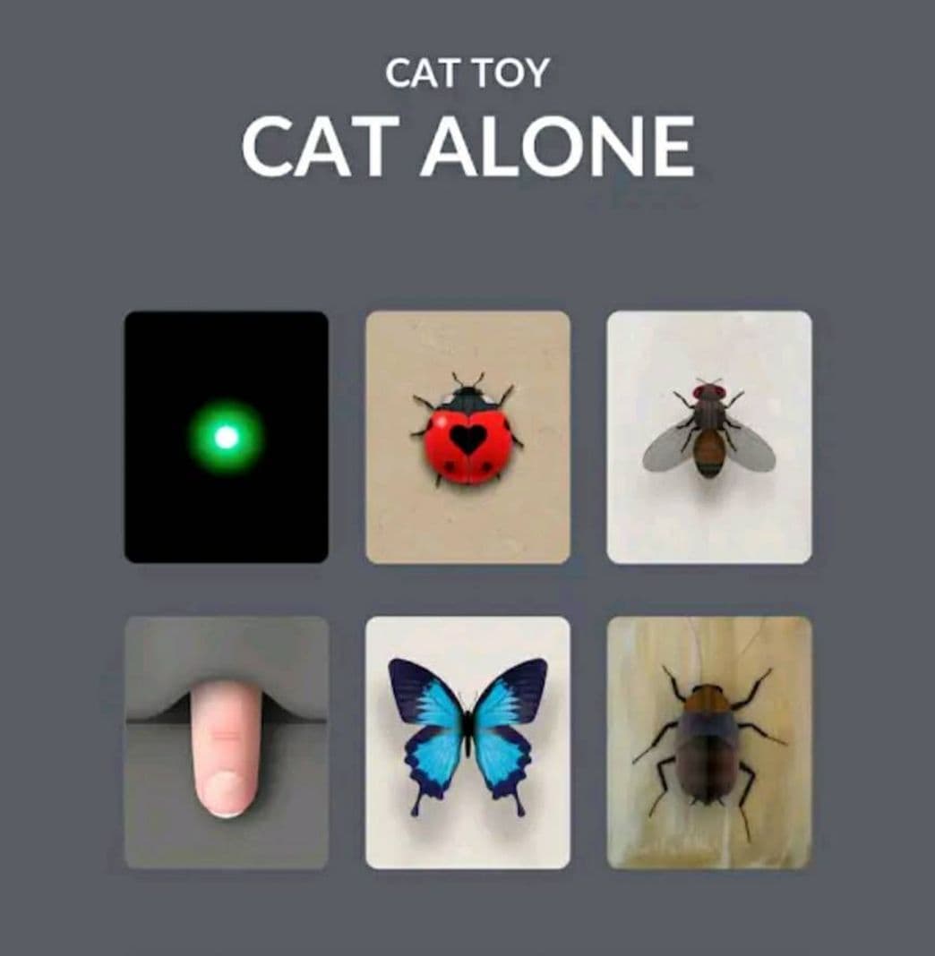 App Cat Alone