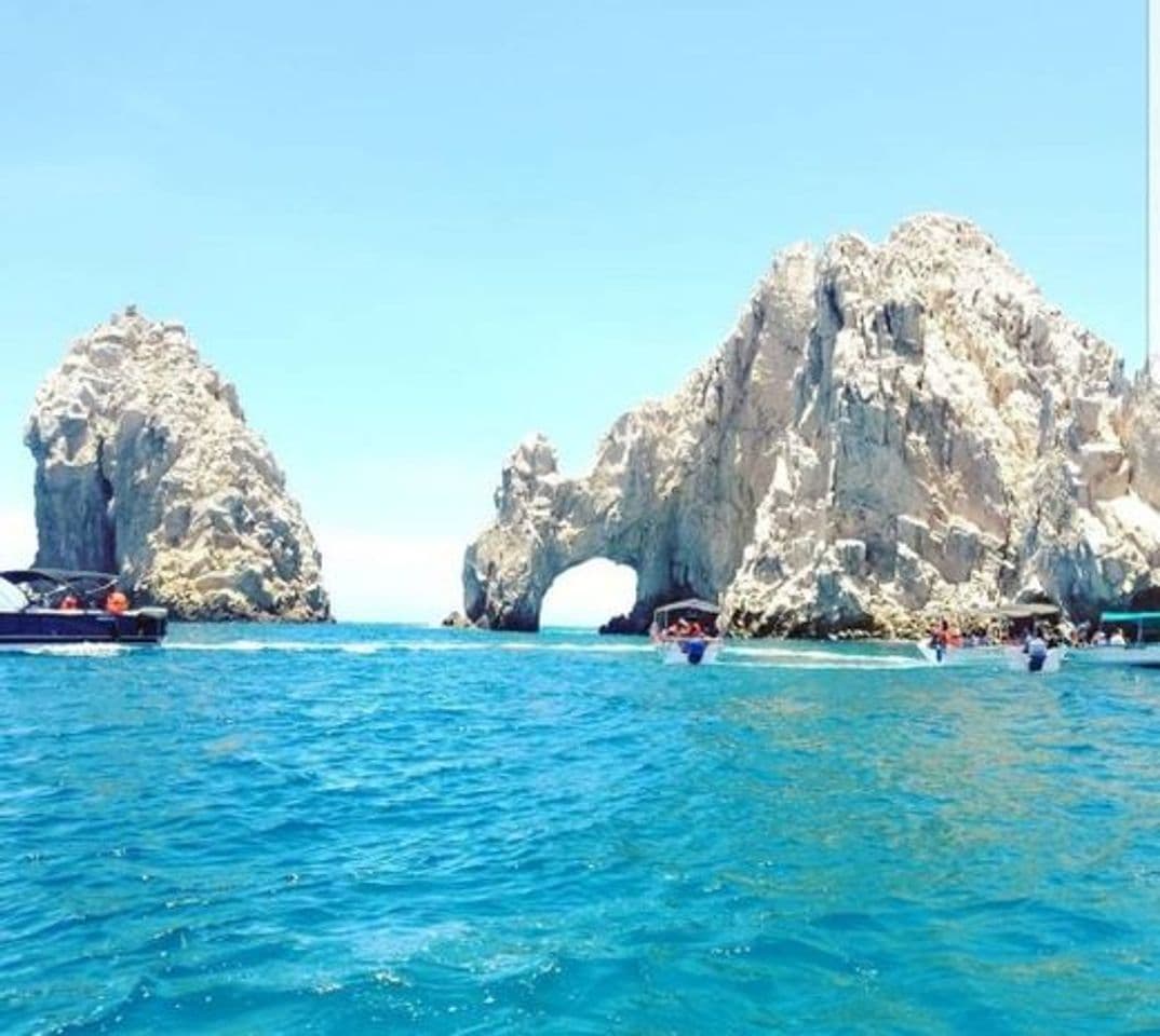 Place Los Cabos