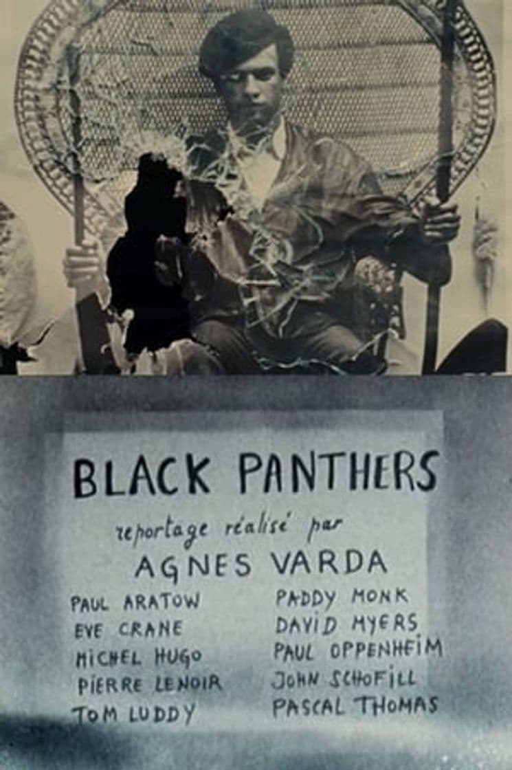 Película Black Panthers