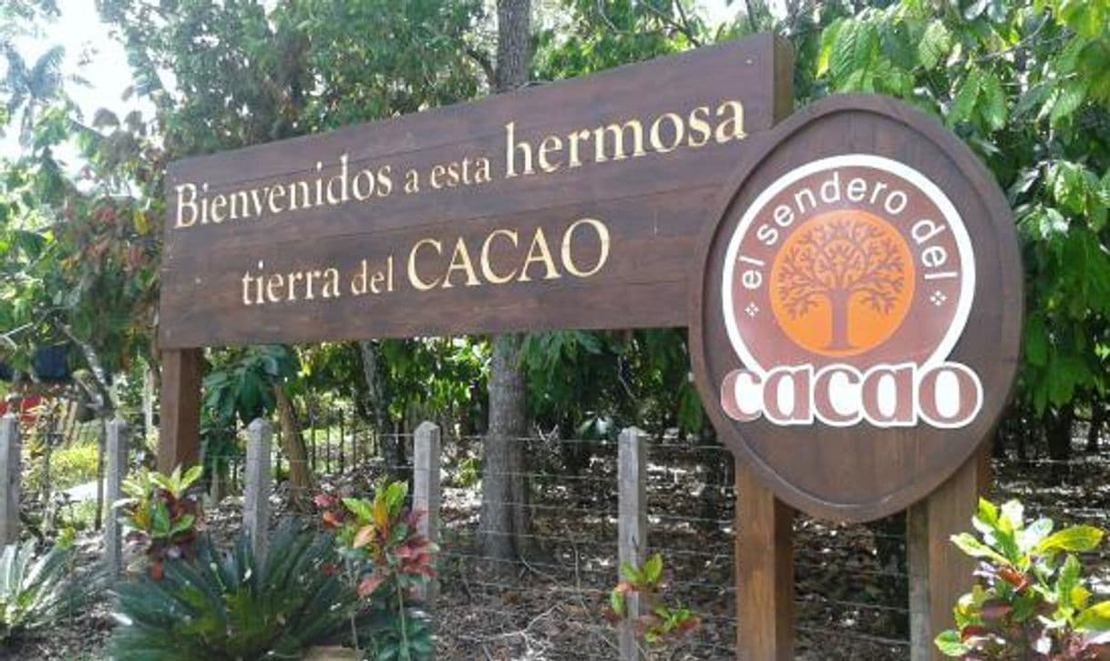 Lugar El Sendero del Cacao