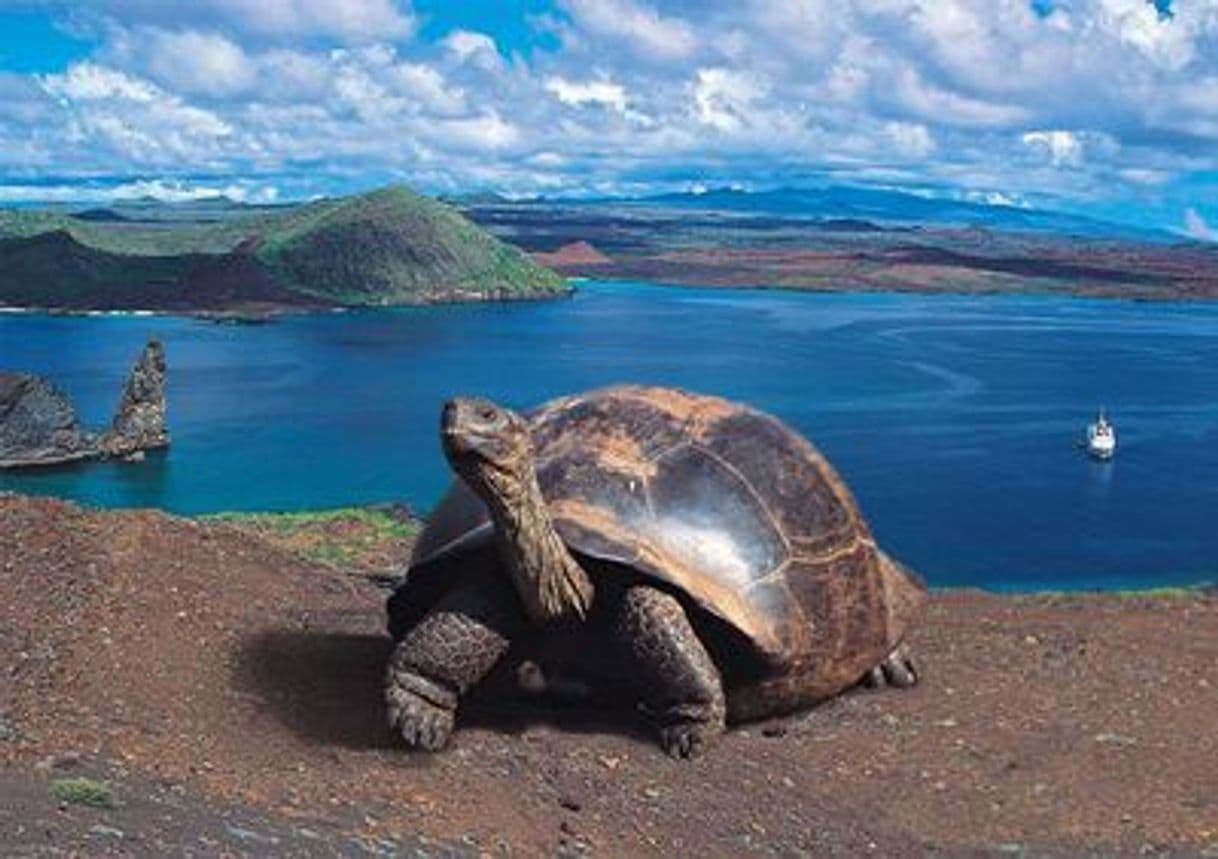 Lugar Galapagos