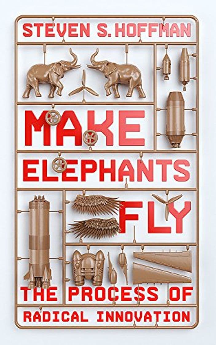 Book Make Elephants Fly: The Process of Radical Innovation