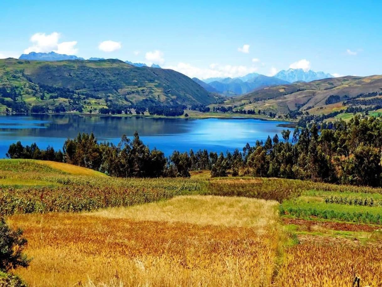 Lugar Laguna de Pacucha