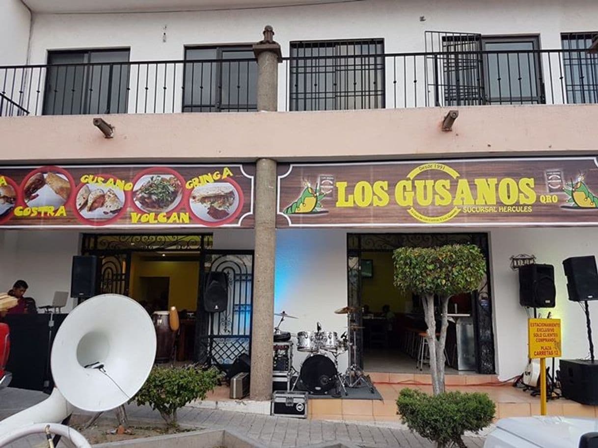 Restaurants Los gusanos