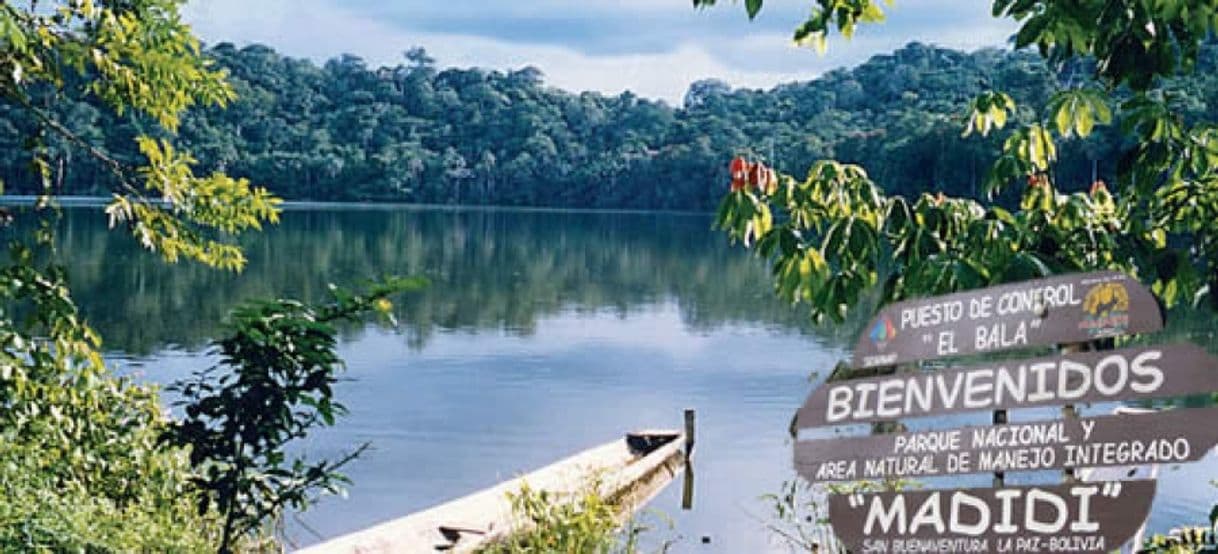 Lugar Madidi National Park