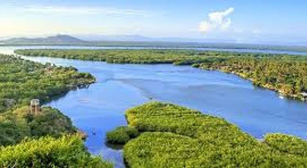 Lugar Parque Nacional Lagunas de Chacahua