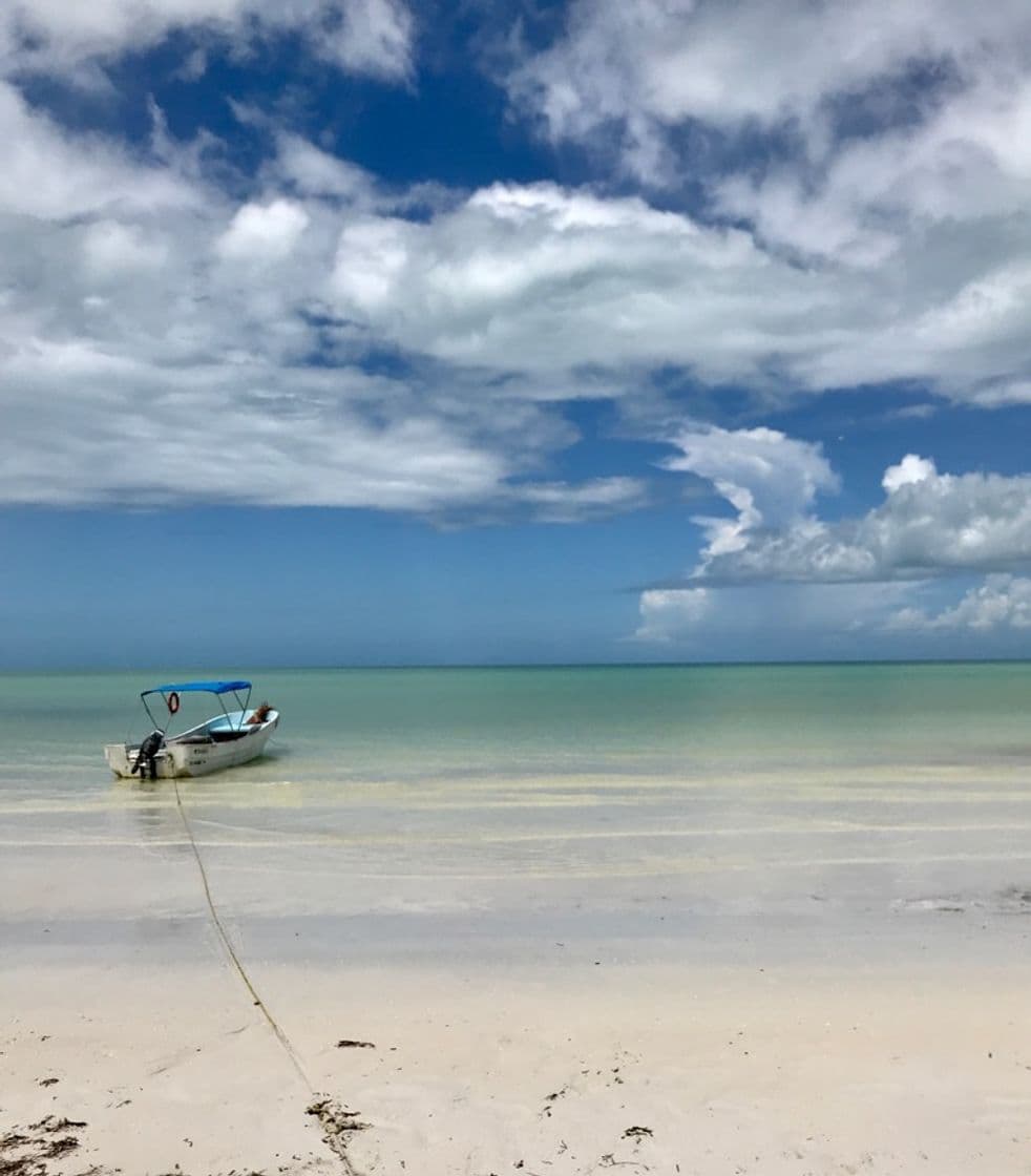 Lugar Isla de Holbox