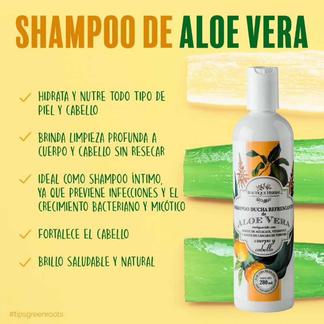 Product SHAMPOO DE ALOE VERA ORGÁNICO