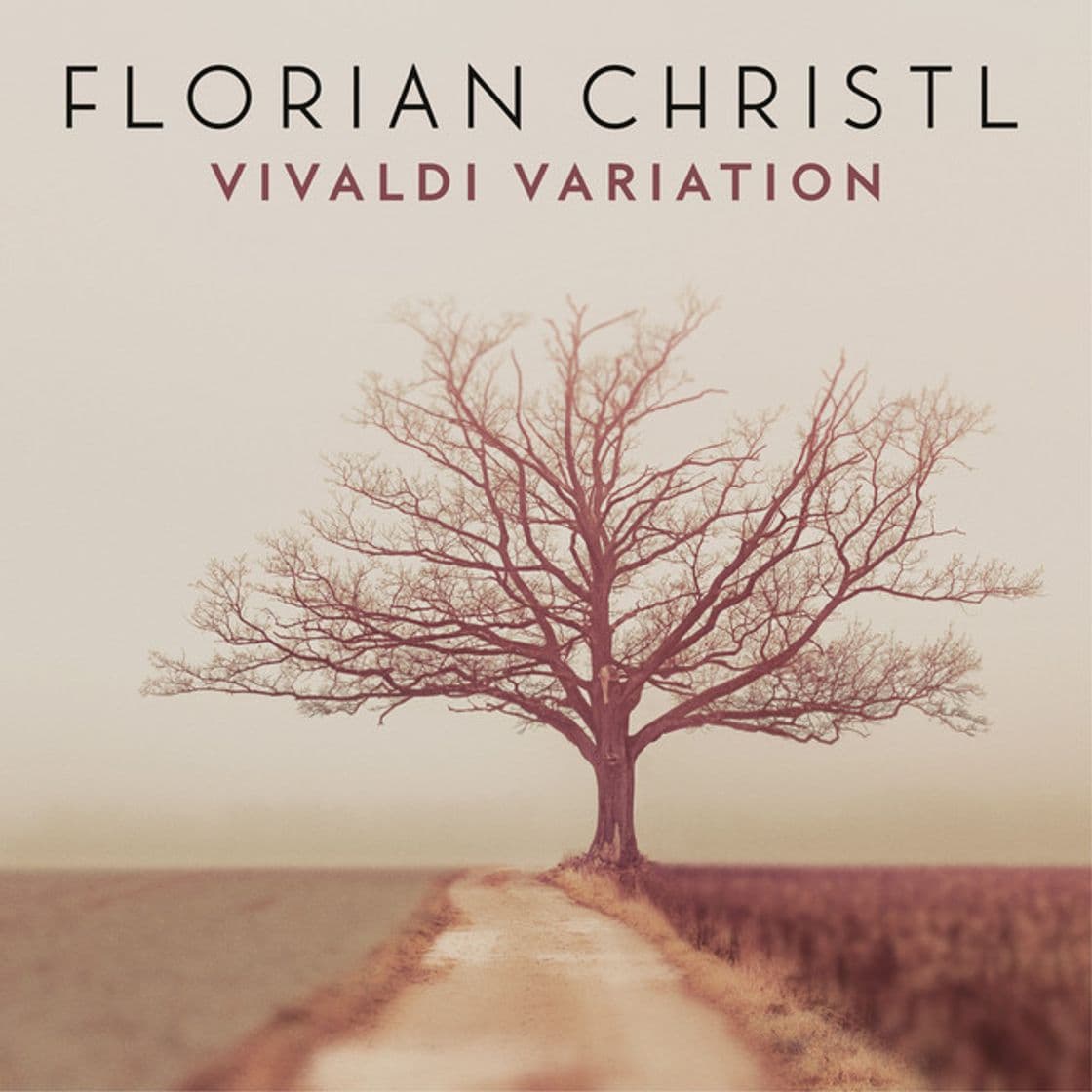 Music Vivaldi Variation (Arr. for Piano from Concerto for Strings in G Minor, RV 156)