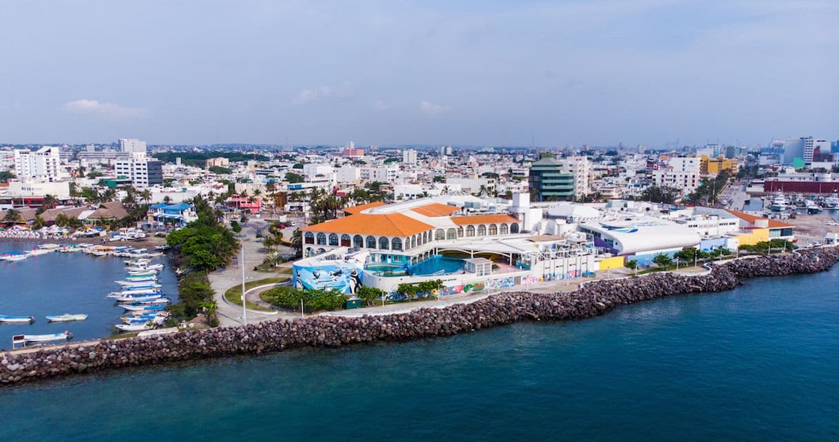 Restaurantes Veracruz