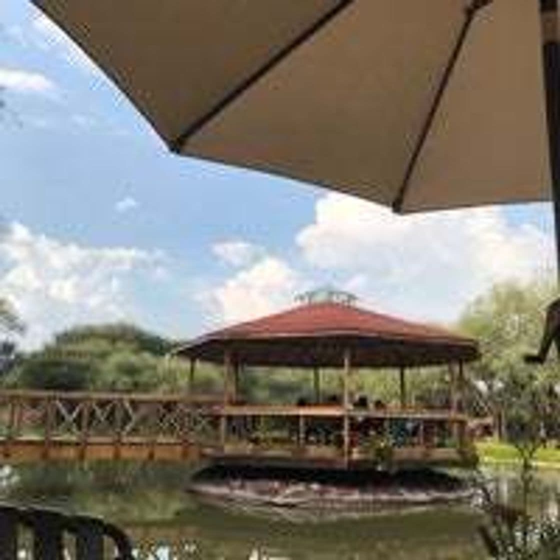 Restaurants Mama Mia Campestre