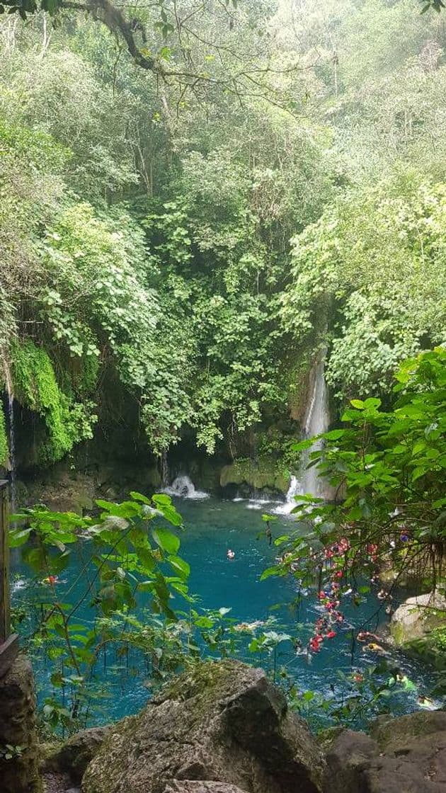 Lugar Huasteca Potosina