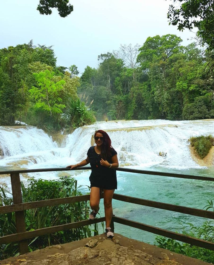 Lugar Cascadas Agua Azul