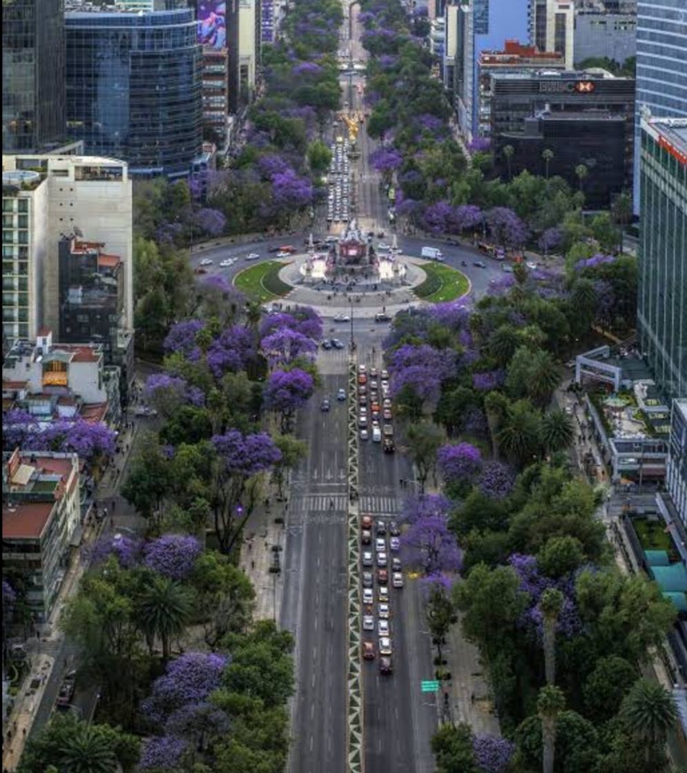 Place Avenida Paseo de la Reforma