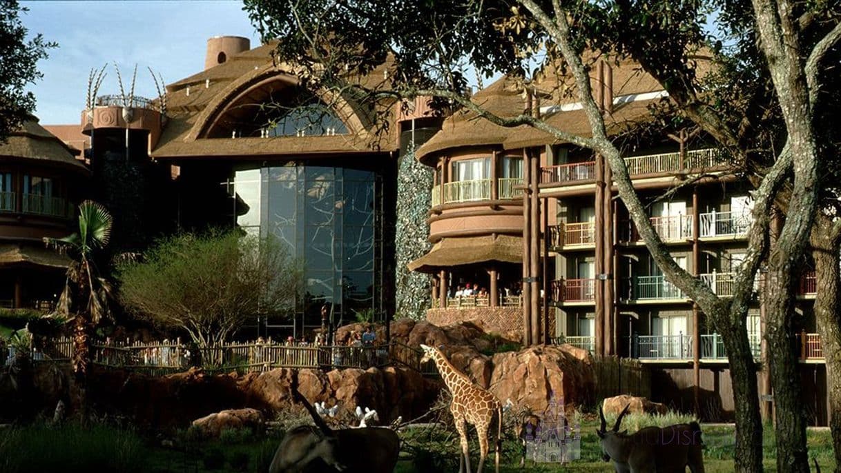 Lugar Animal kingdom lodge