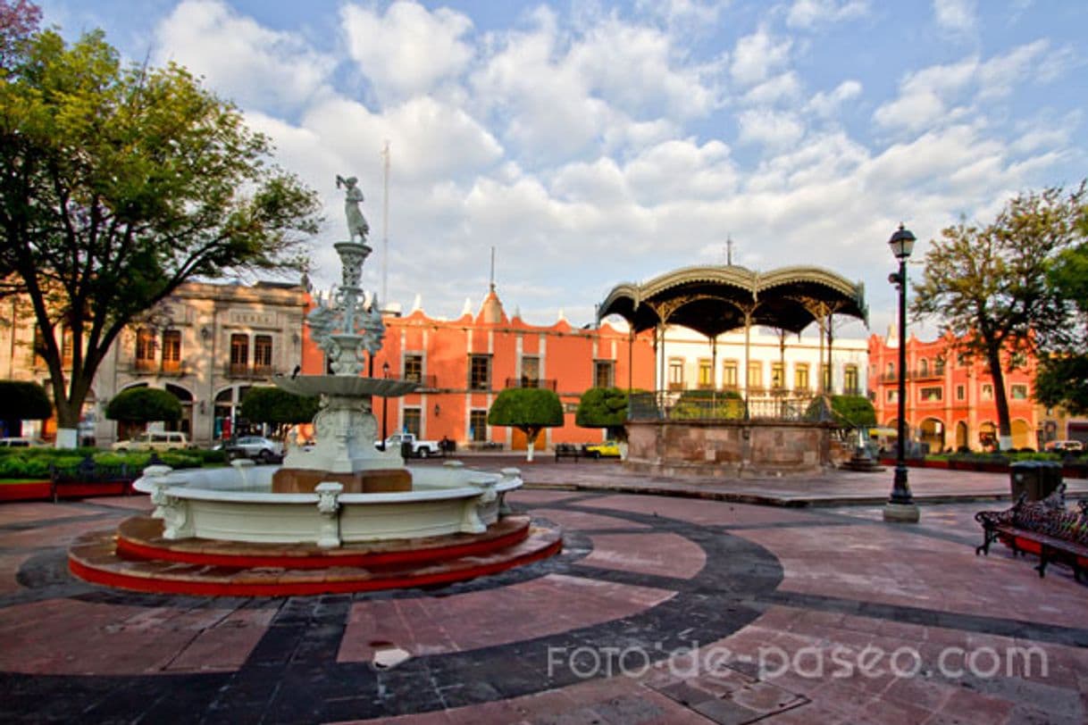 Place Jardín Zenea