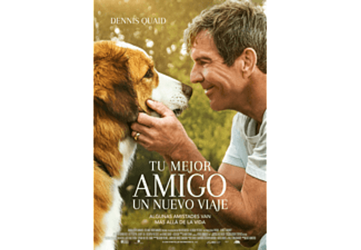 Movie A Dog's Purpose