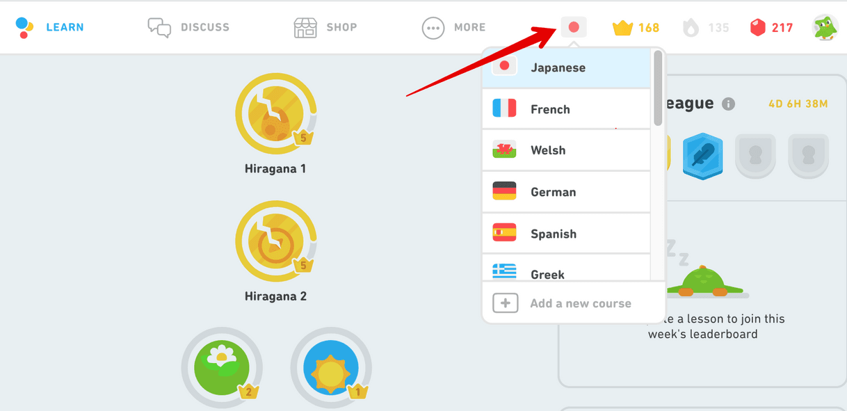 App Duolingo - Language Lessons