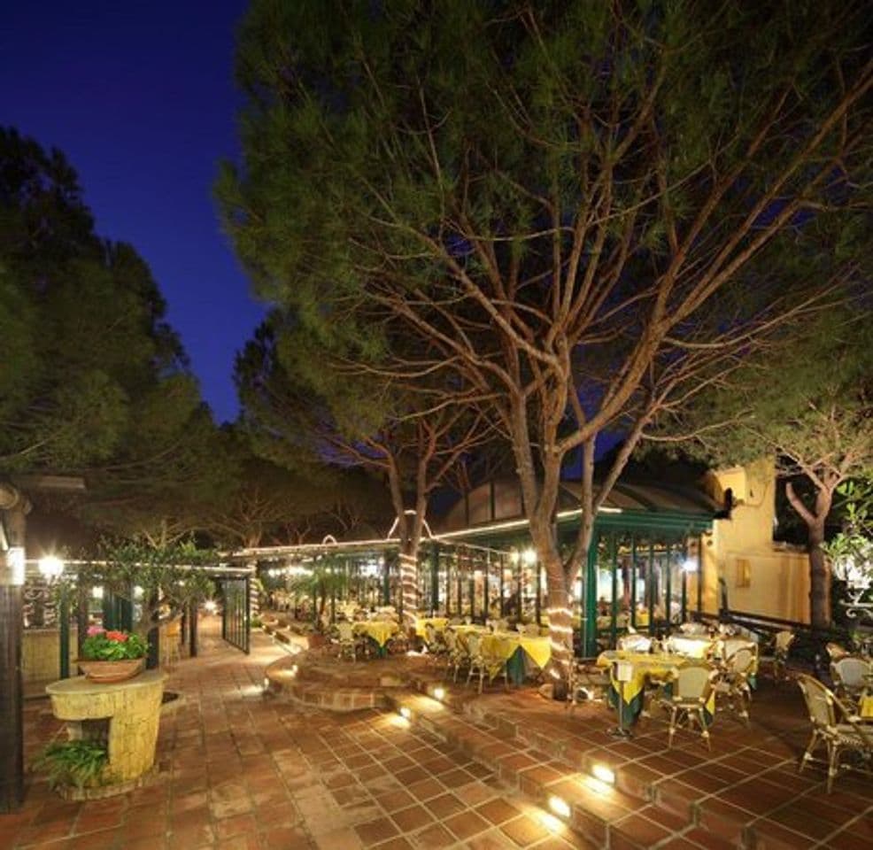 Restaurants Restaurante Marbella | Da Bruno a Cabopino