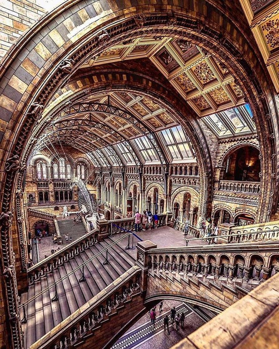 Place Natural History Museum