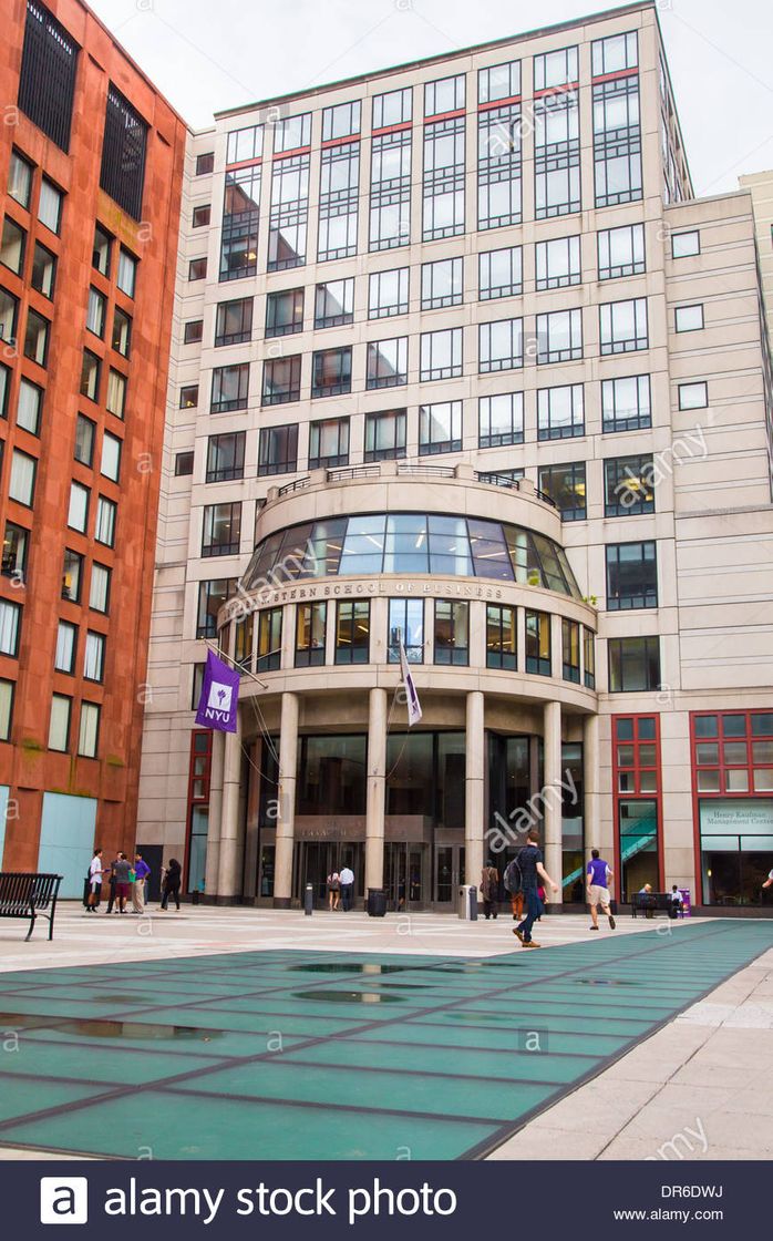 Place New York University