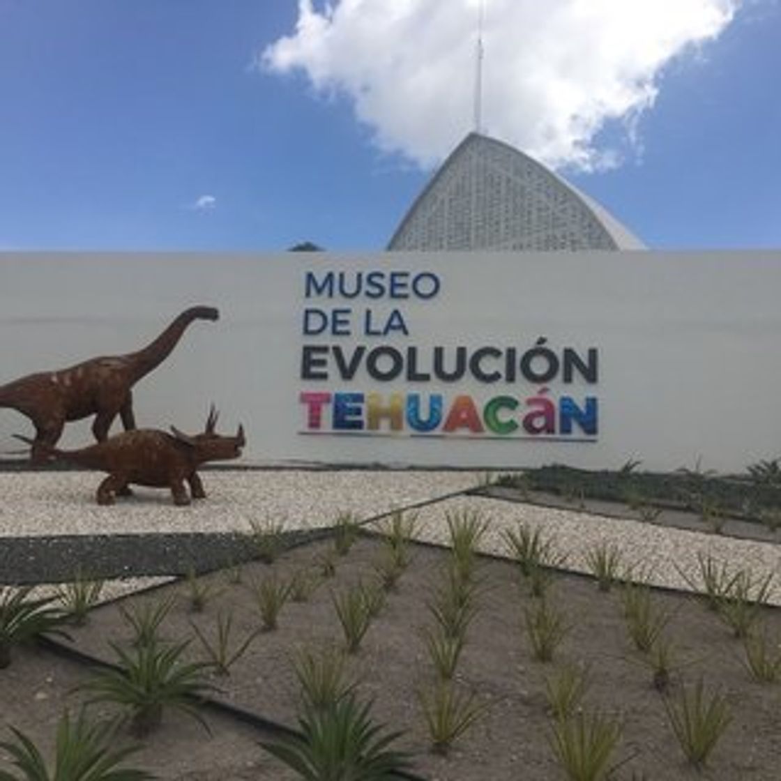 Place Museo De La Evolución Tehuacán