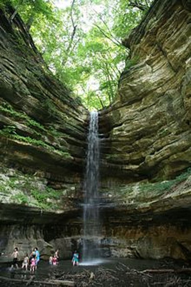 Lugar Starved Rock State Park