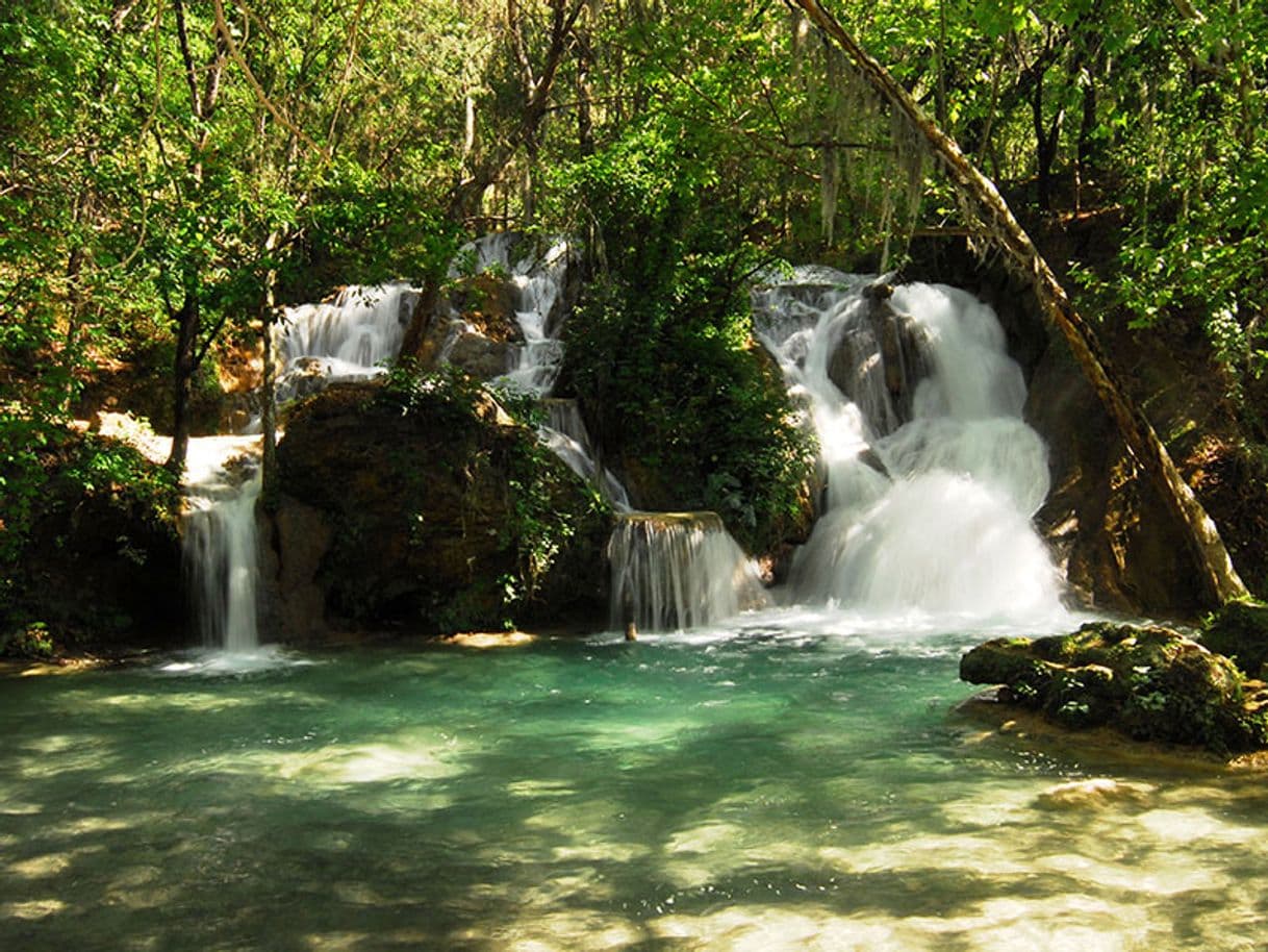 Place Parque El Salto