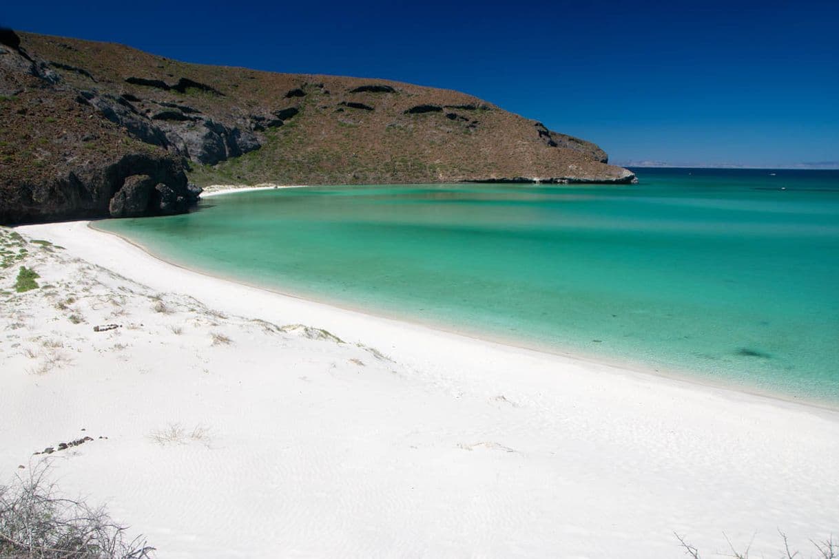 Lugar Baja California Sur La Paz-El Tecolote