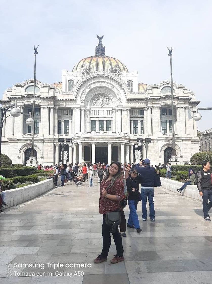 Place Palacio de Bellas Artes