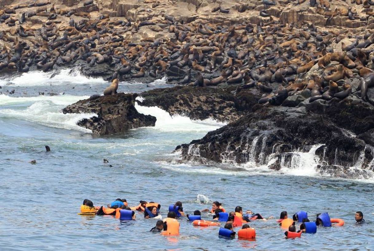 Place ECOTURISMO ISLAS DEL CALLAO S.A.C.