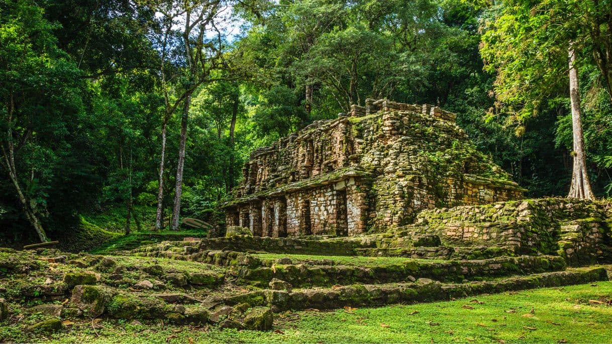 Place Yaxchilán