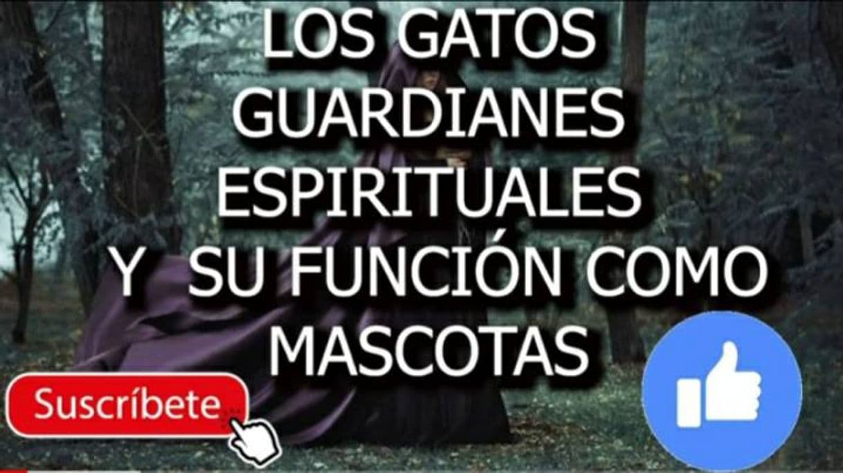 Moda GATOS GUARDIANES Y ESPIRITUALES. 👁👄👁