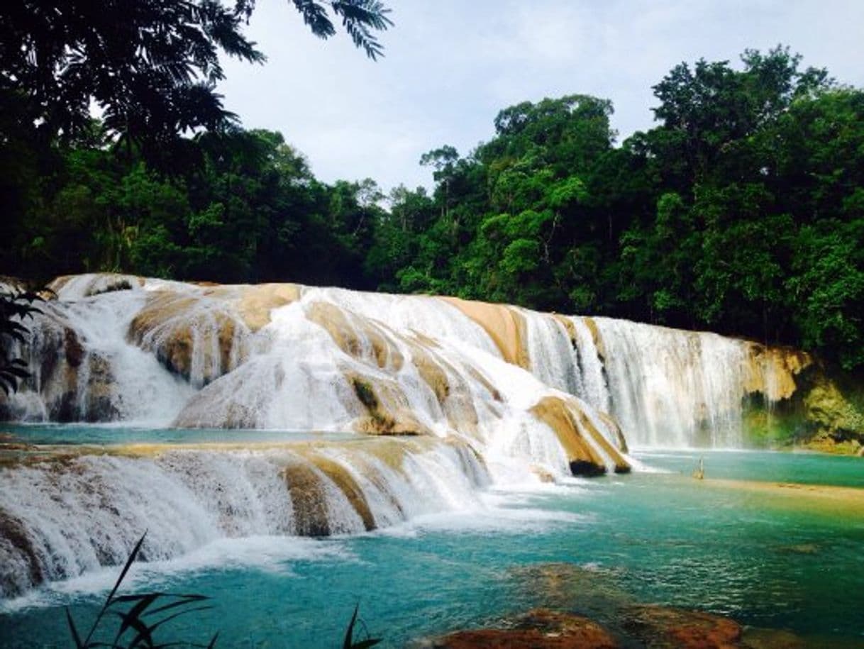 Lugar Cascadas Agua Azul