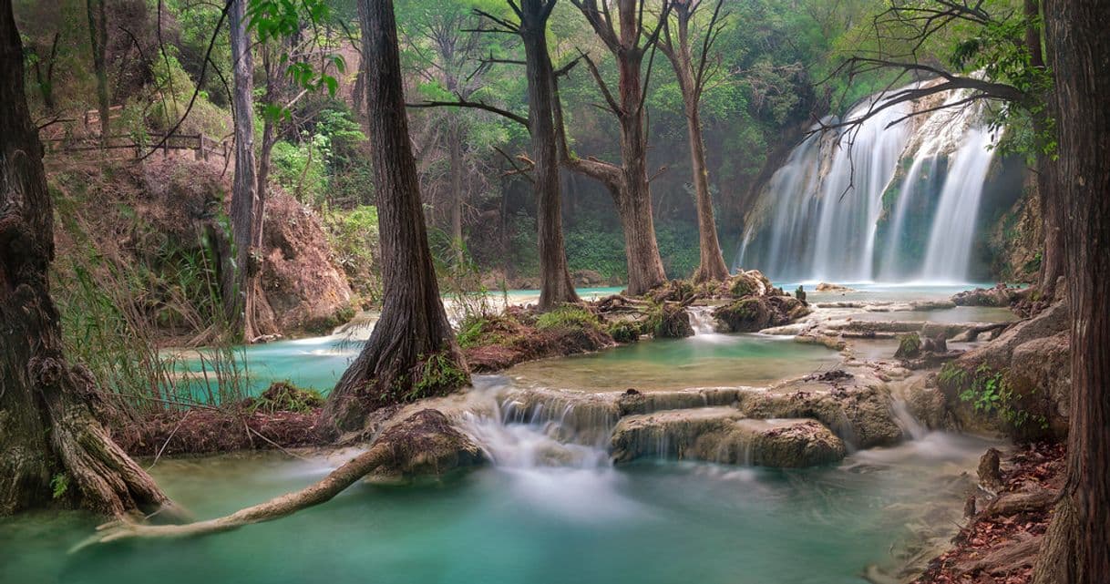 Lugar Cascada El Chiflón