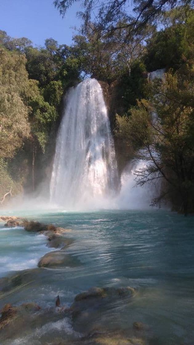 Lugar El Naranjo