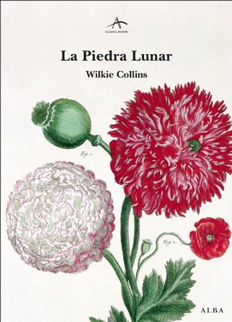 Book La Piedra Lunar