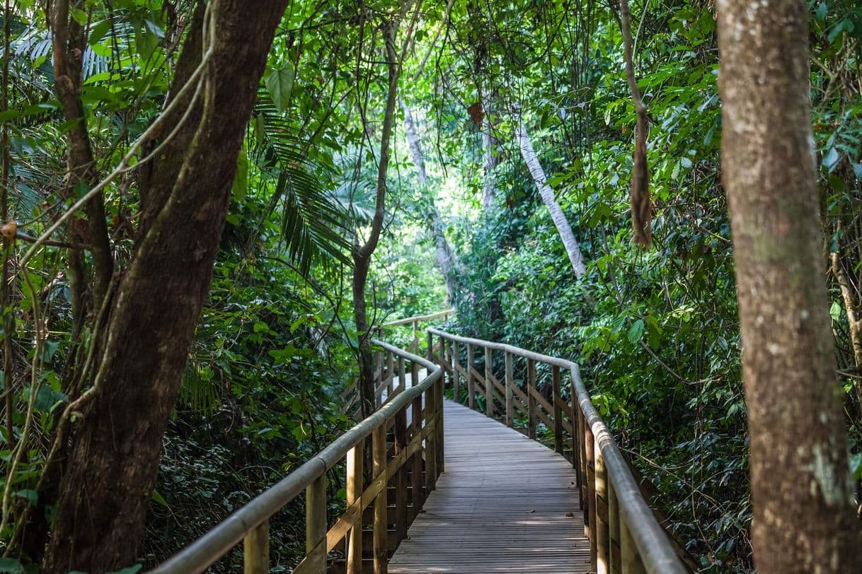 Place Manuel Antonio National Park